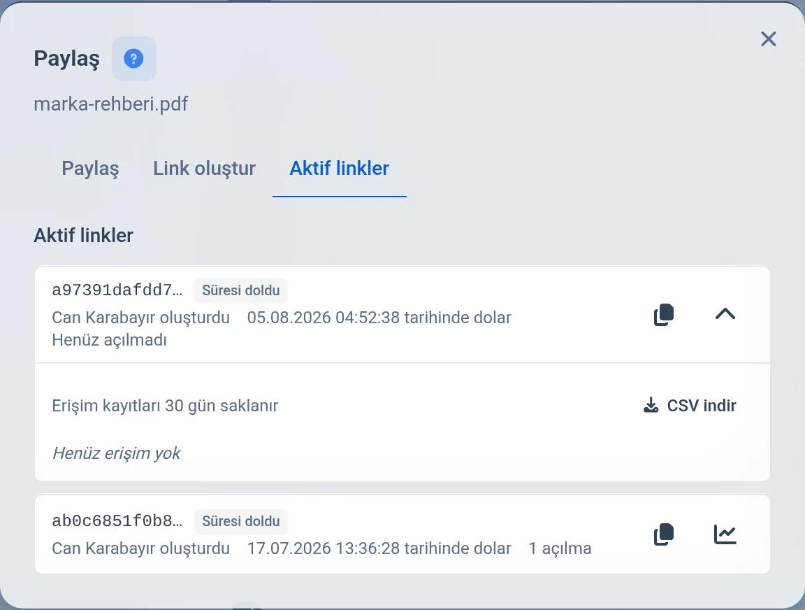 Erişim kaydı